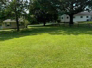 Gary M.'s Lawn Mowing Service service result