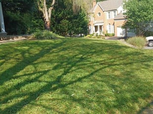 Naomi C.'s Lawn Care service result