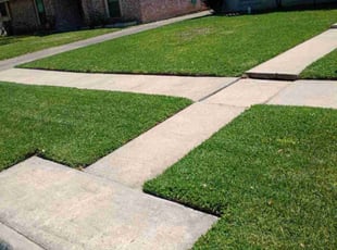 Brandon S.'s Yard Cutting service result