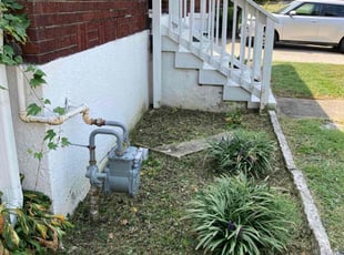 Weeding by Brandon Williams for Taylor S. in Louisville, KY