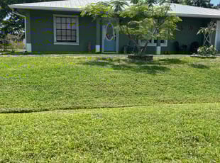 Patrick D.'s Lawn Service service result