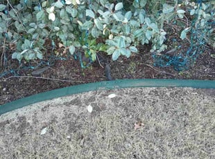 Weeding by James Jones III for Anthony C. in Yukon, OK