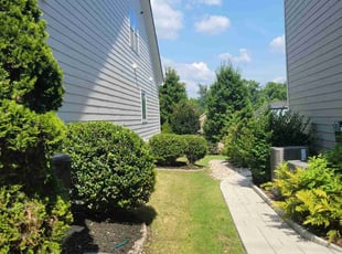 Bush Trimming by Clyde Scotton for Syler M. in Apex, NC
