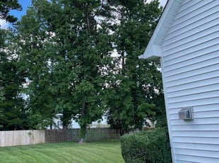 Beth G.'s Lawn Care service result