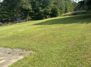 Mike D.'s Lawn Care service result