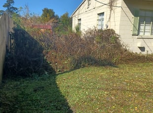 Bush Trimming by Aderias Rollins for Alex G. in Jacksonville, FL