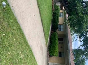 Wallace M.'s Grass Cutting service result