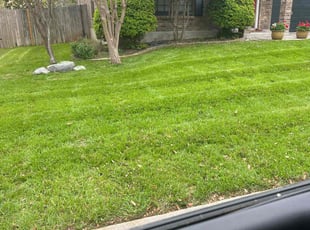 Sylvia T.'s Lawn Service service result
