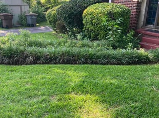 Bush Trimming by Wayne Banton for Kerry A. in Kannapolis, NC