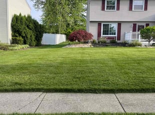 Martin H.'s Lawn Mowing service result