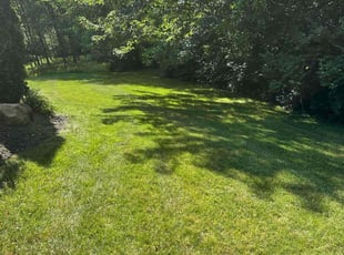 Ian G.'s Lawn Care service result