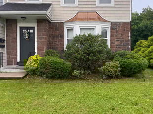 Bush Trimming by Nelson Guerrero for Laura L. in Hawthorne, NJ