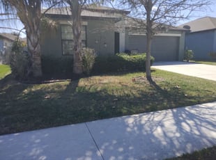 Bush Trimming by William Chavers for Amanda P. in Riverview, FL