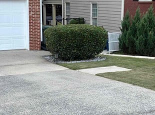 Bush Trimming by Phoebe Odum for Liza W. in Kennesaw, GA
