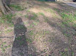 Leaf Removal by Garrick Murphy for Roger L. in Raytown, MO