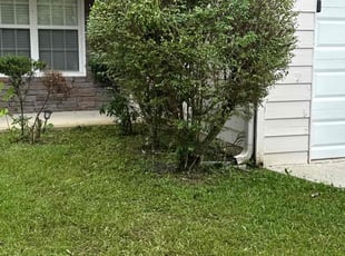 Bush Trimming by Tametra Walker for Darian W. in Douglasville, GA