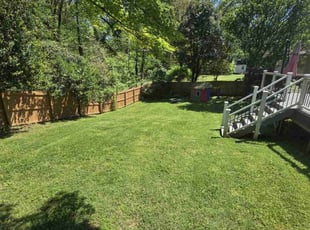 Christopher D.'s Yard Cutting service result