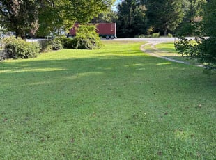 Robert B.'s Lawn Care service result