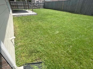 Stan D.'s Lawn Mowing Service service result
