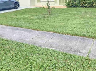 Mike B.'s Lawn Mowing service result