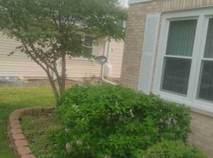Bush Trimming by Daniel Burton for Deborah M. in Bolingbrook, IL