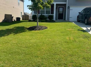 Denise M.'s Lawn Mowing Service service result