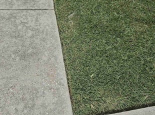 Charlie M.'s Lawn Mowing service result