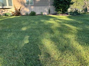 Shannon H.'s Lawn Mowing service result