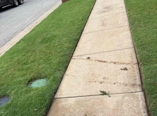 William B.'s Lawn Care service result
