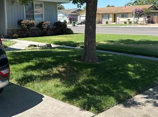 Cleanups by Arturo Aguirre for Shea C. in Turlock, CA