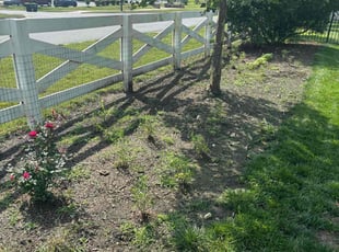 Weeding by Tom Farley for Akuba N. in Fredericksburg, VA