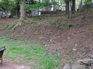 Leaf Removal by William Donnell for Asit G. in Baltimore, MD