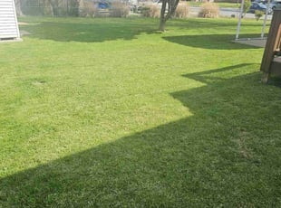 Lawrence S.'s Lawn Mowing Service service result