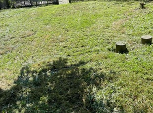 Mostafa A.'s Lawn Service service result