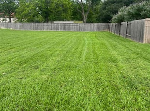 Sharon B.'s Lawn Care service result