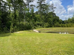 Vee H.'s Lawn Mowing service result