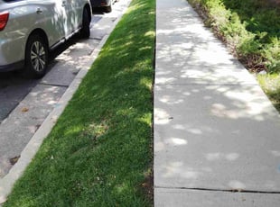 Sharon B.'s Lawn Care service result