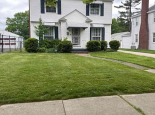 Alfredo S.'s Lawn Mowing service result