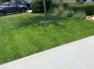 Bush Trimming by Kaaz Dowdell for Angel R. in Orange Park, FL