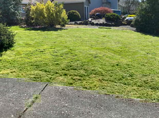 Kim L.'s Lawn Care service result