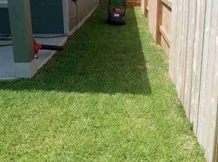 Amanda C.'s Grass Cutting service result