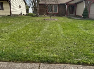 Lora B.'s Lawn Maintenance service result
