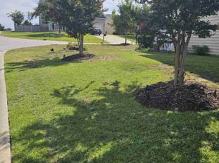 Patrick M.'s Lawn Care service result