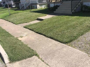 Chi S.'s Lawn Care service result
