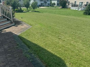 Peter S.'s Yard Cutting service result