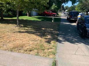 Bush Trimming by Jonathan Allen for Lawn S. in Sacramento, CA