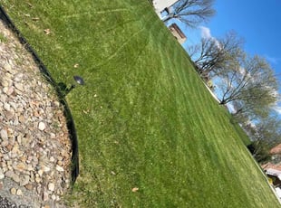 D'Arcy L.'s Lawn Service service result