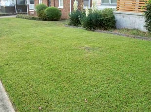 Sook L.'s Lawn Mowing Service service result