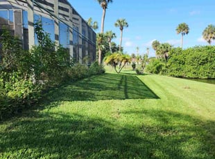 Nyahiri D.'s Grass Cutting service result