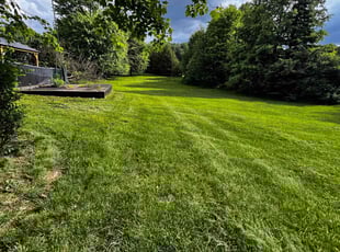Liz E.'s Lawn Mowing Service service result